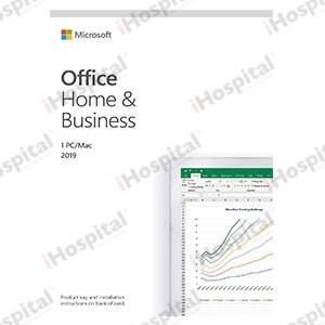 Microsoft Office Home and Business 2019 (USB)