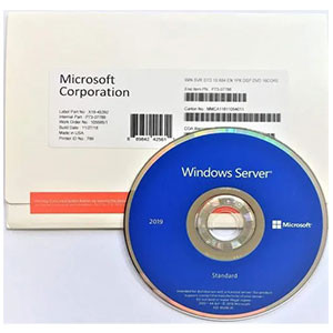 Microsoft Windows Server Standard 2019 - Base License (16-Core) - OEM