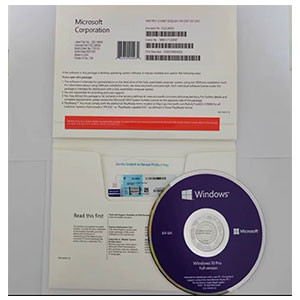 Microsoft Windows 10 Pro 64-bit/32-bit (OEM Software) (DVD)