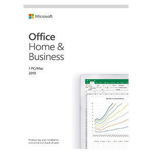 Microsoft Windows Office Home and Business 2019 USB