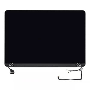 Original MacBook Screen A1398 Silver (2015)