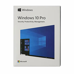 Microsoft Windows 10 Pro 64-bit/32-bit (OEM Software) (USB)